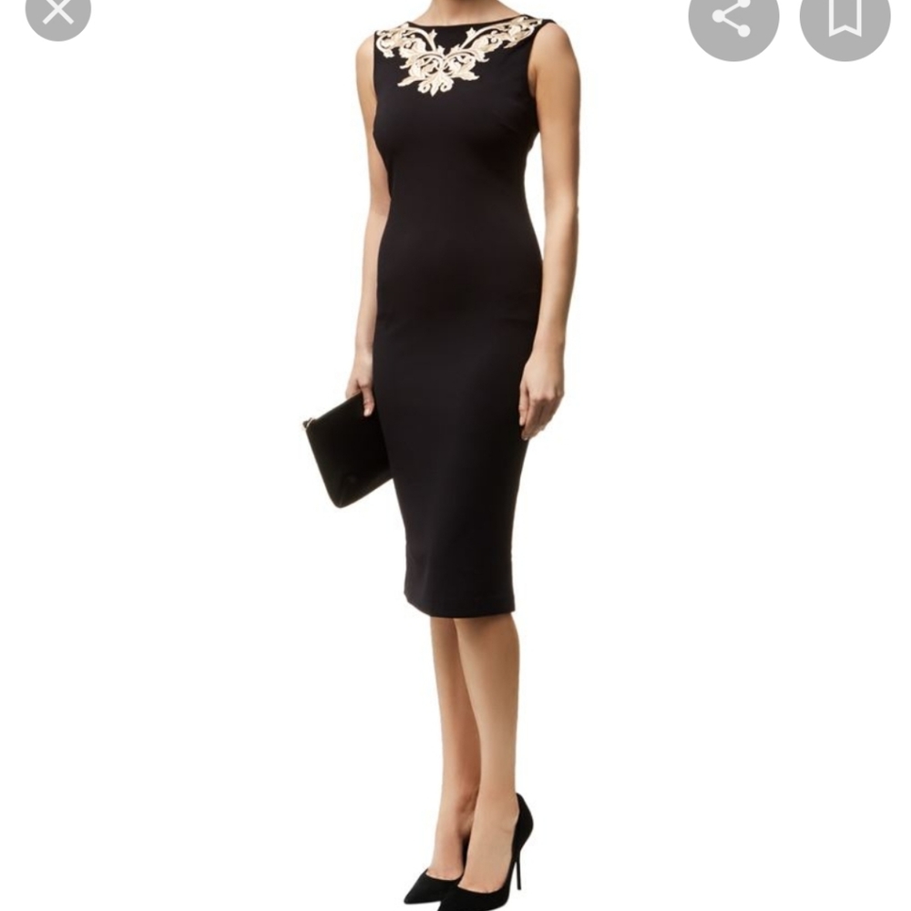 Ted Baker Metallic Embroidered Midi Dress